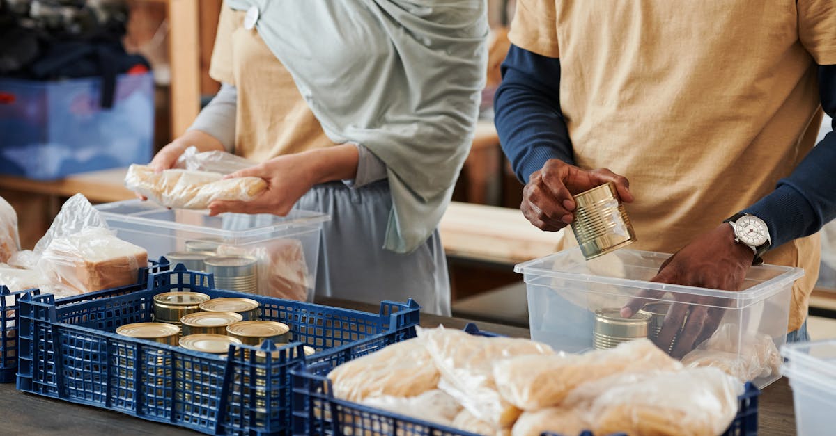 découvrez les services d'assistance de la caf pour vous accompagner dans vos démarches sociales et bénéficier de vos droits rapidement.