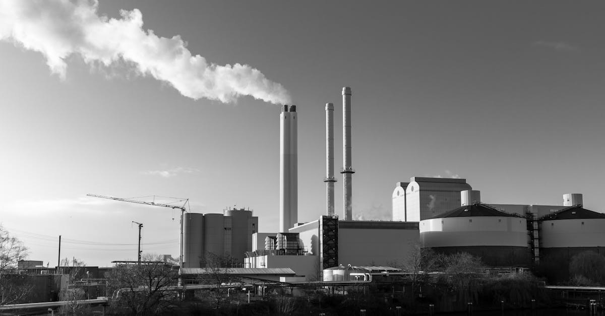 découvrez les éco-industries, un secteur innovant dédié au développement durable, à la réduction de l'impact environnemental et à la promotion des technologies propres.