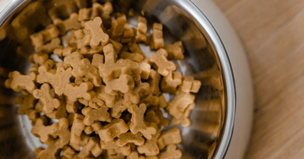 devenez testeur de nourriture pour animaux et participez à l'amélioration des aliments pour chiens et chats grâce à vos avis précis et fiables.