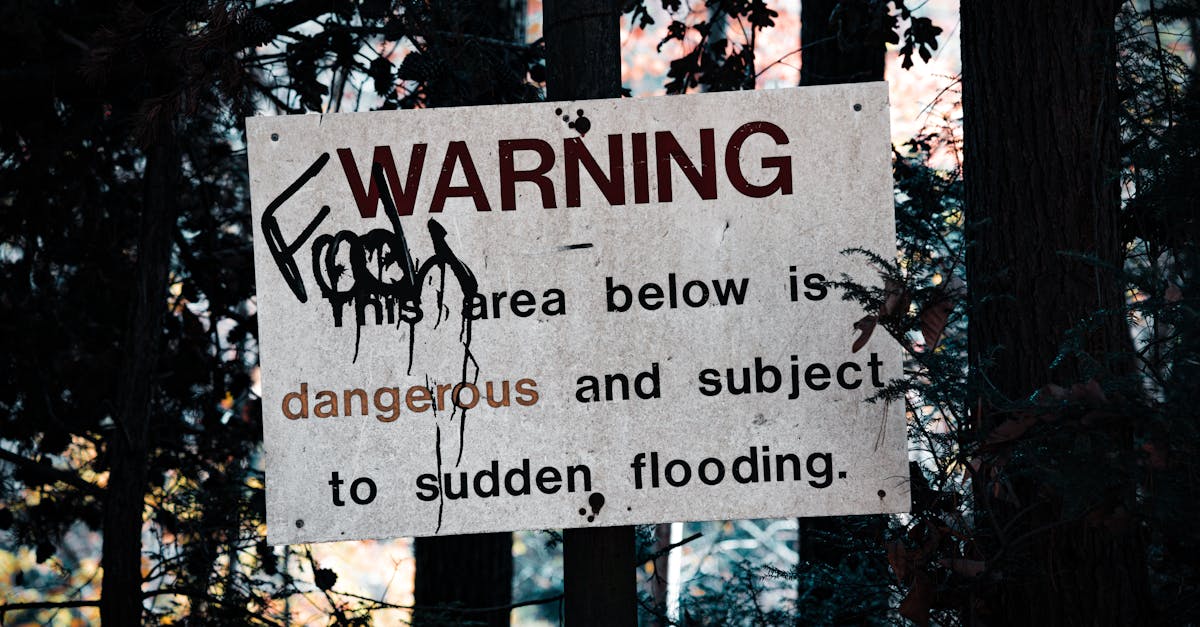 découvrez toutes les mises en garde et informations importantes liées à la sécurité et à l'utilisation dans notre section 'warnings'.