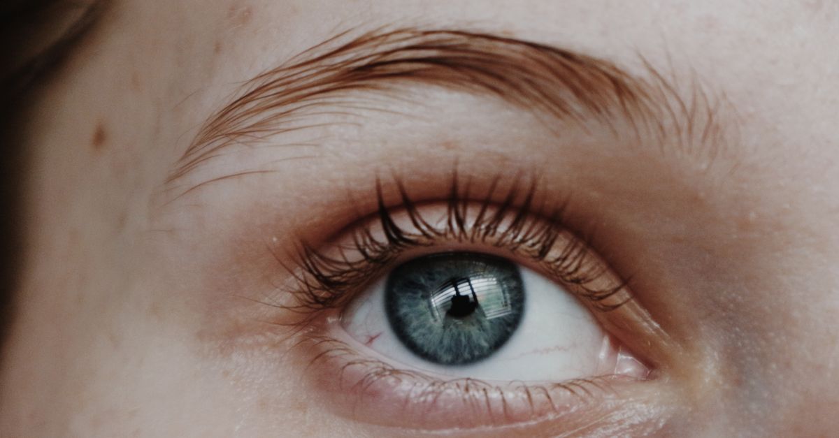 pimeyes est un moteur de recherche d'images faciales puissant qui permet d'identifier des personnes à partir de photos en ligne, offrant une technologie avancée de reconnaissance faciale pour la sécurité et la vérification d'identité.
