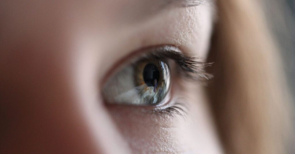 pimeyes est un moteur de recherche par reconnaissance faciale qui permet de retrouver des images de personnes sur internet en utilisant une photo comme référence.