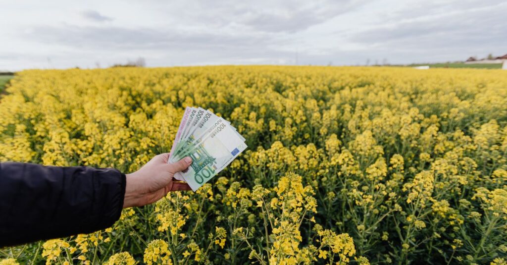 découvrez les principes et pratiques de la finance durable pour investir de manière responsable tout en favorisant un impact environnemental et social positif.